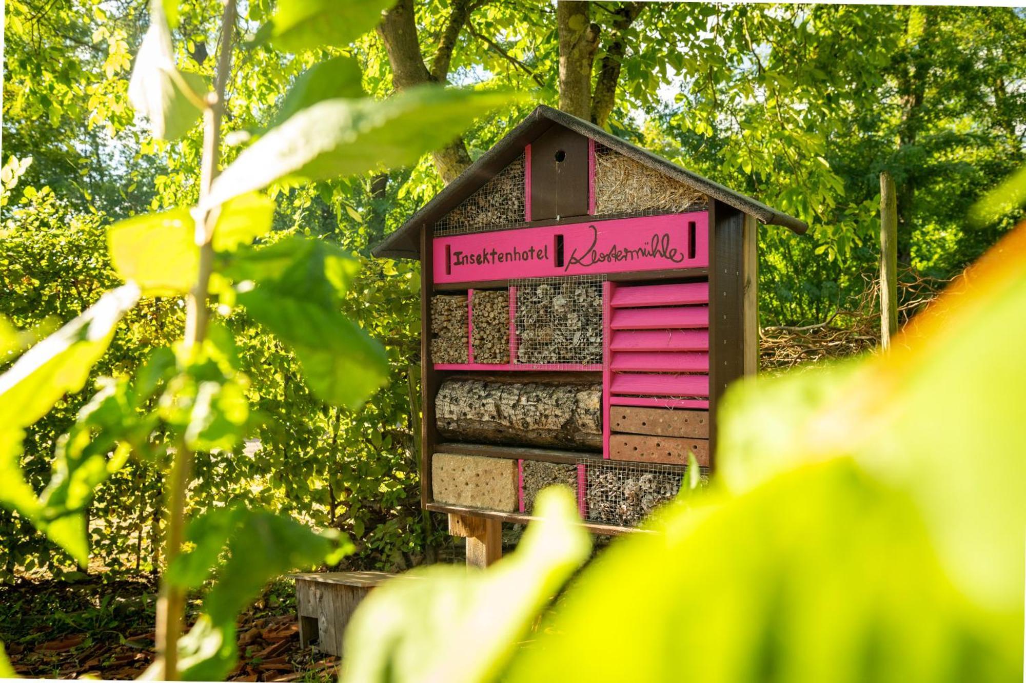 Weinhotel Restaurant Klostermuehle Ockfen 外观 照片